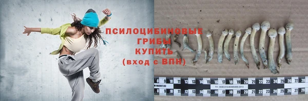 винт Алексеевка