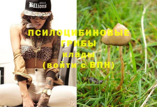 винт Алексеевка