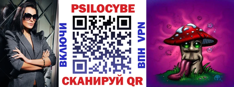 Купить закладки  Дудинка  Псилоцибиновые грибы мухоморы 